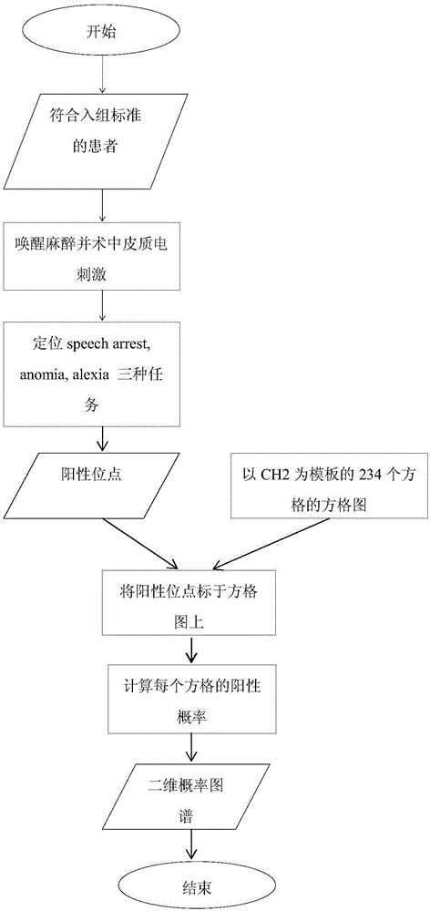 Chinese brain language area distribution graph construction method