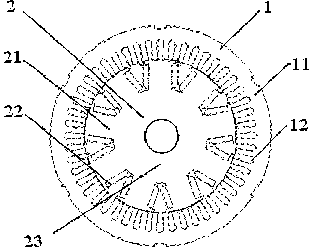 Salient pole wound rotor asynchronous motor