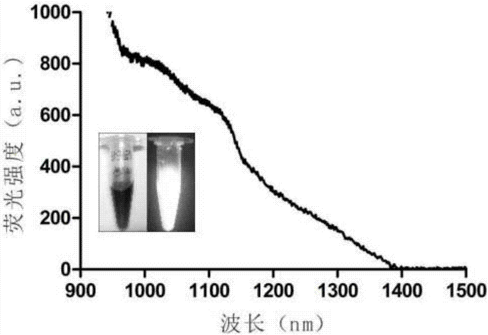 Synthesis method of near infrared silver sulfide quantum dots