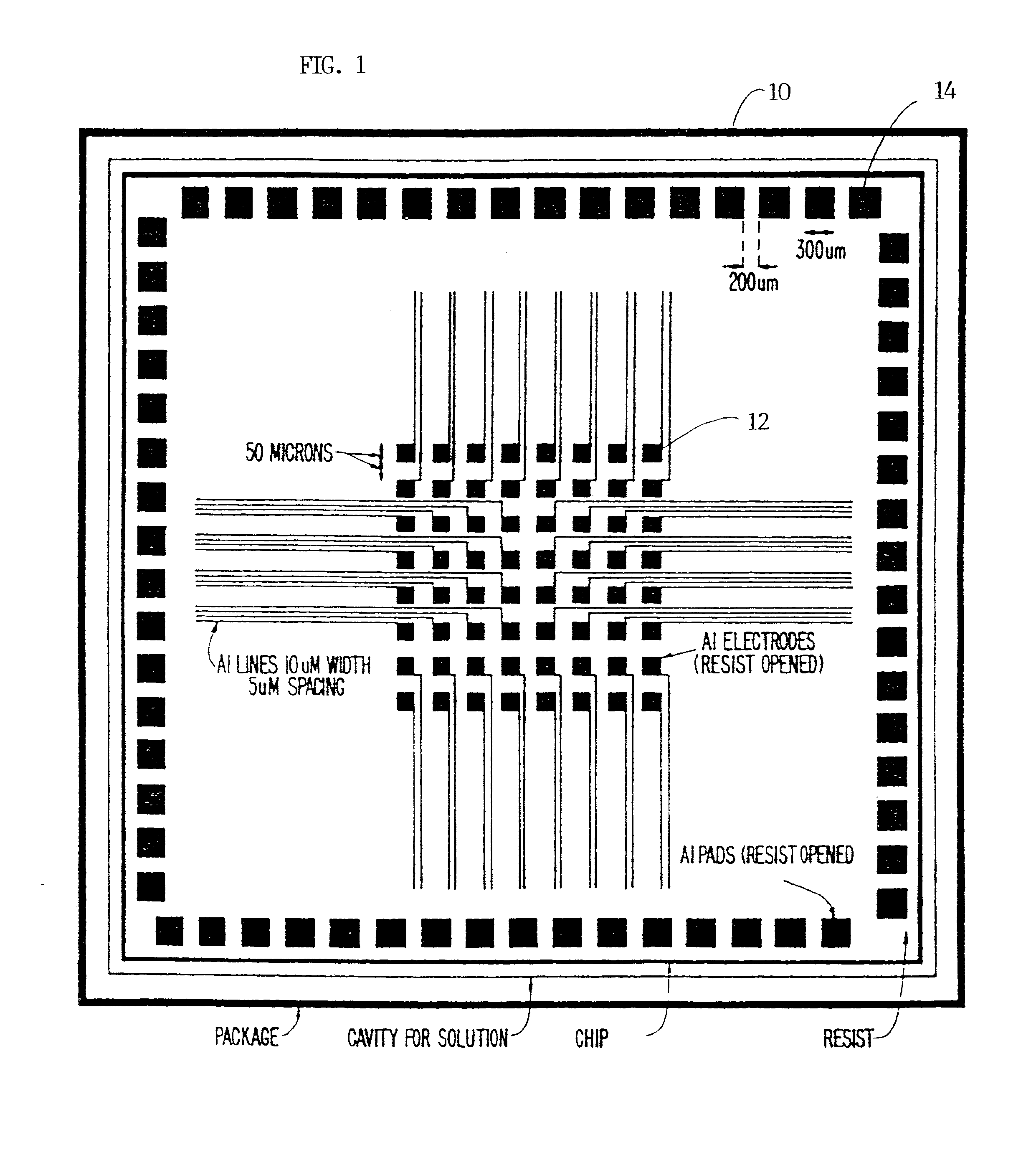 Micro-circuit system with array of functionalized micro-electrodes