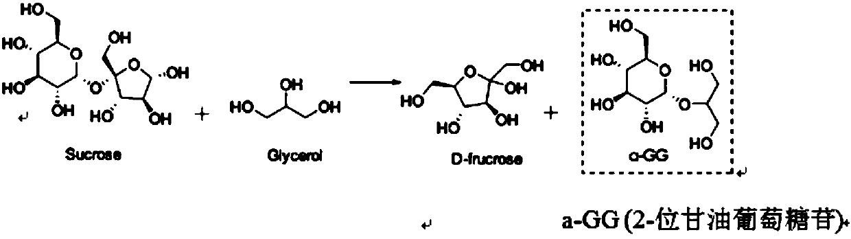 Sucrose phosphorylase mutant and application thereof in production of glycerol glucoside