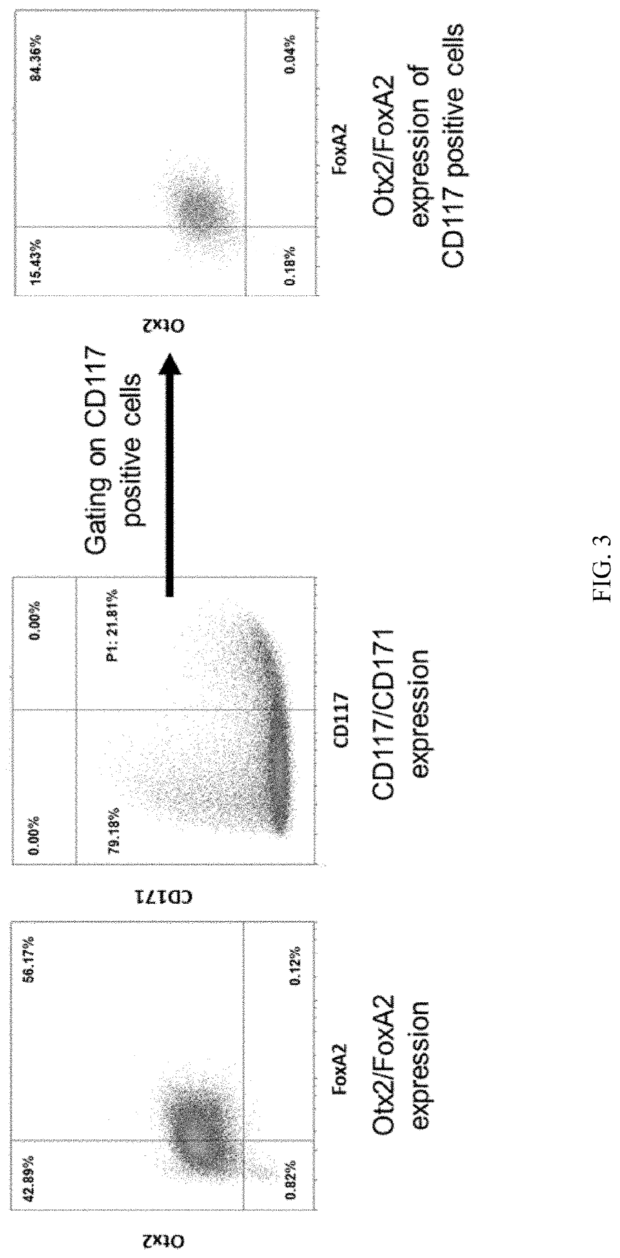 Method for the generation of a cell composition ventral midbrain dopaminergic progenitor cells