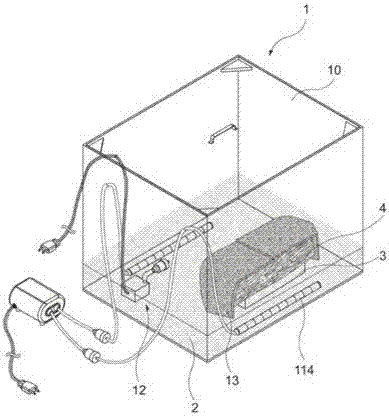 Mushroom cultivation box