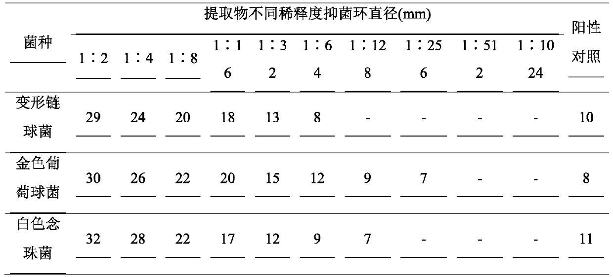A traditional Chinese medicine composition with antibacterial and anti-inflammatory properties and its preparation method and application