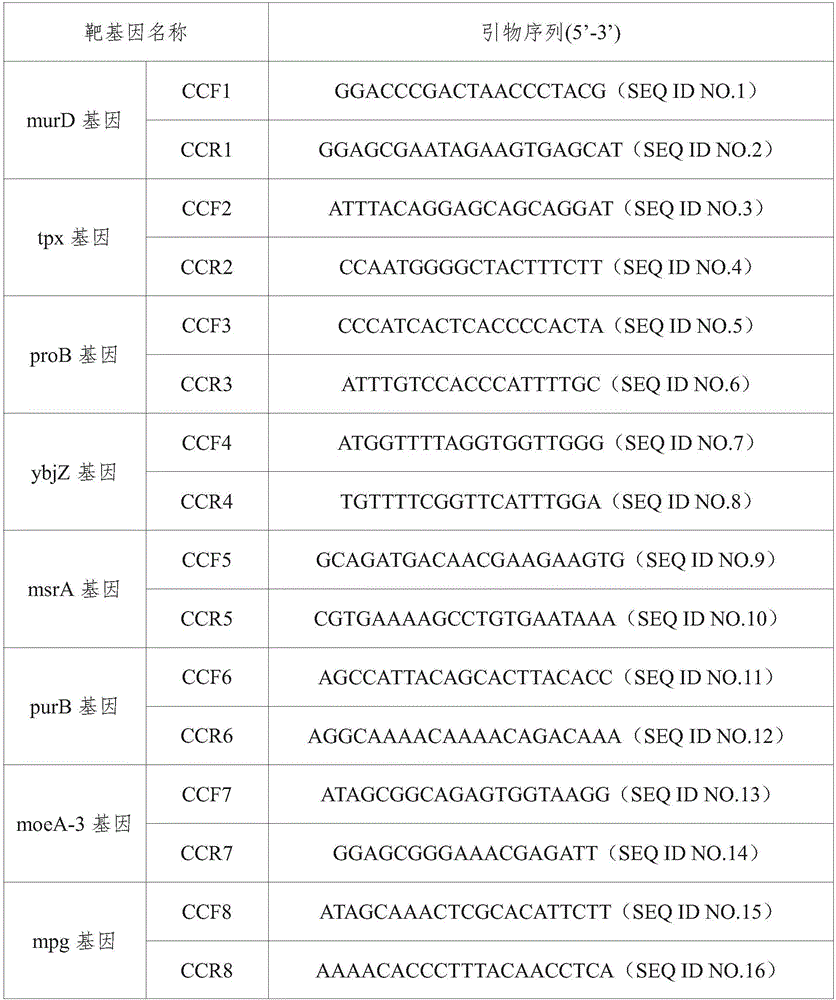 Primer and method for fast typing campylobacter coli