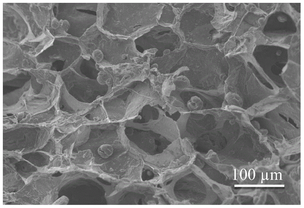 Calcium alginate/hydroxyapatite nanocomposite dual-loaded porous scaffold containing biodegradable polyester microspheres and preparation method thereof