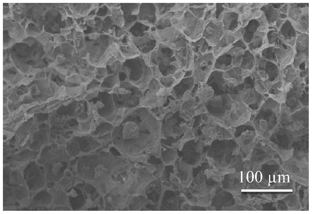 Calcium alginate/hydroxyapatite nanocomposite dual-loaded porous scaffold containing biodegradable polyester microspheres and preparation method thereof