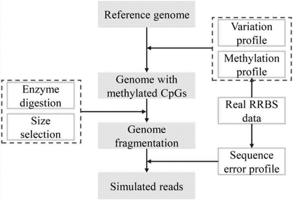 Method for using computer program to simulate and generate simplified DNA methylation sequencing data