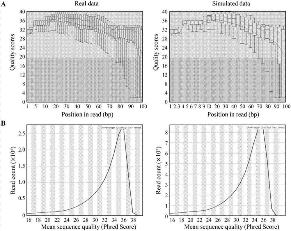 Method for using computer program to simulate and generate simplified DNA methylation sequencing data