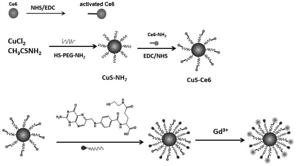 A fa-cus/ce6-gd nano-diagnosis and treatment probe of conjugated gadolinium and its preparation method and application