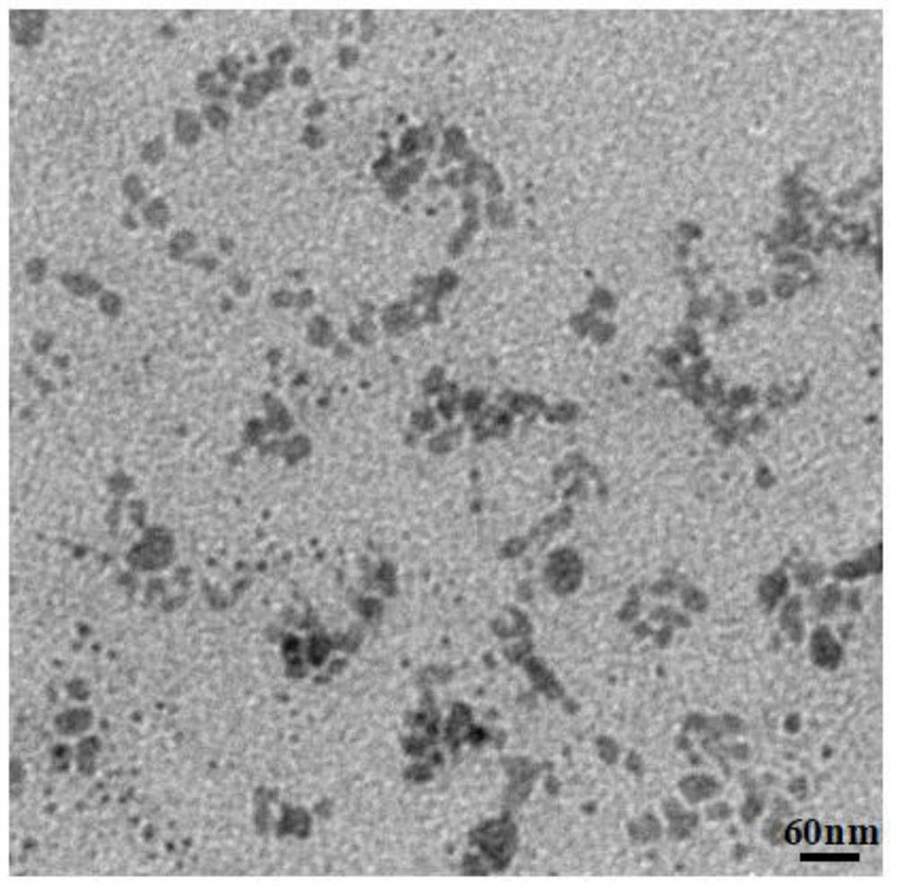 A fa-cus/ce6-gd nano-diagnosis and treatment probe of conjugated gadolinium and its preparation method and application