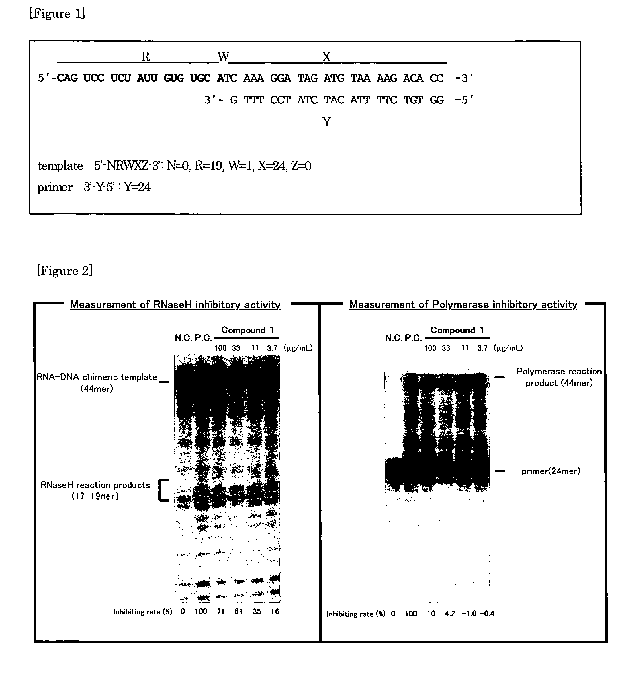 Screening method for a ribonuclease H inhibitor of a reverse transcriptase