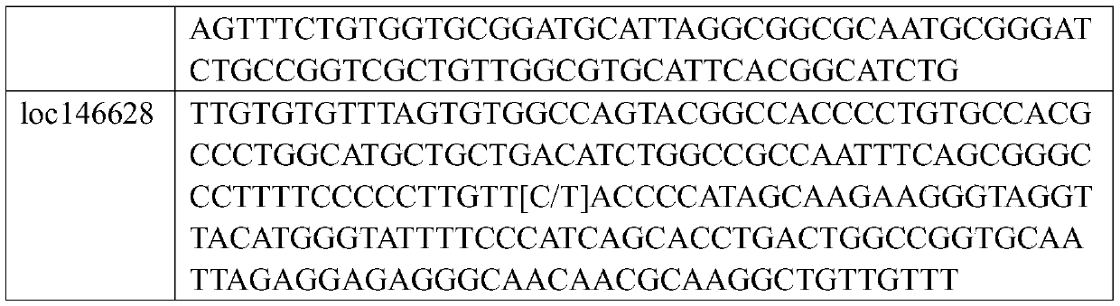 EB virus typing kit based on detection of variable sites