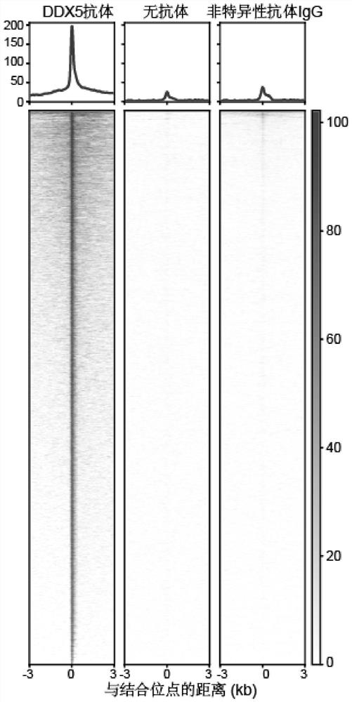 Method for obtaining target RNA of target RNA binding protein