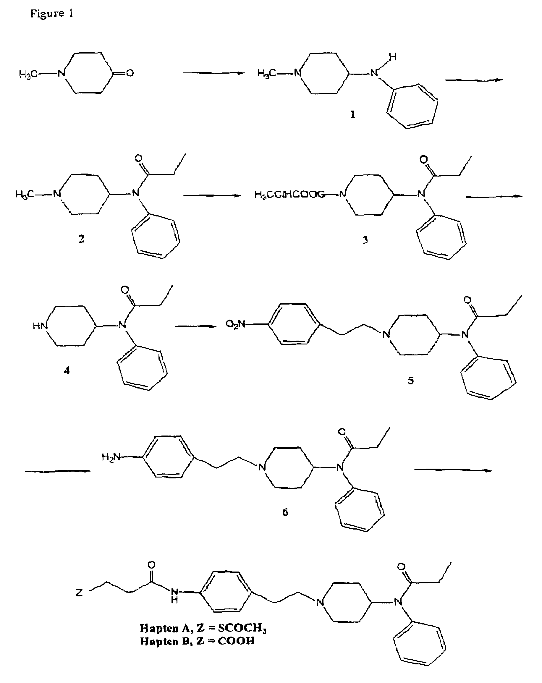 Method and kit for detecting, or determining the quantity of, metabolites of fentanyl and metabolites of fentanyl analogs