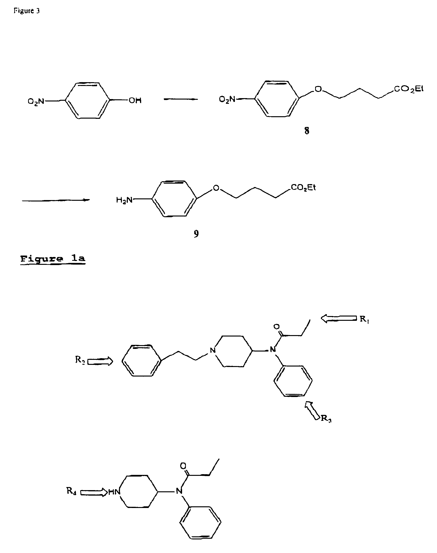 Method and kit for detecting, or determining the quantity of, metabolites of fentanyl and metabolites of fentanyl analogs