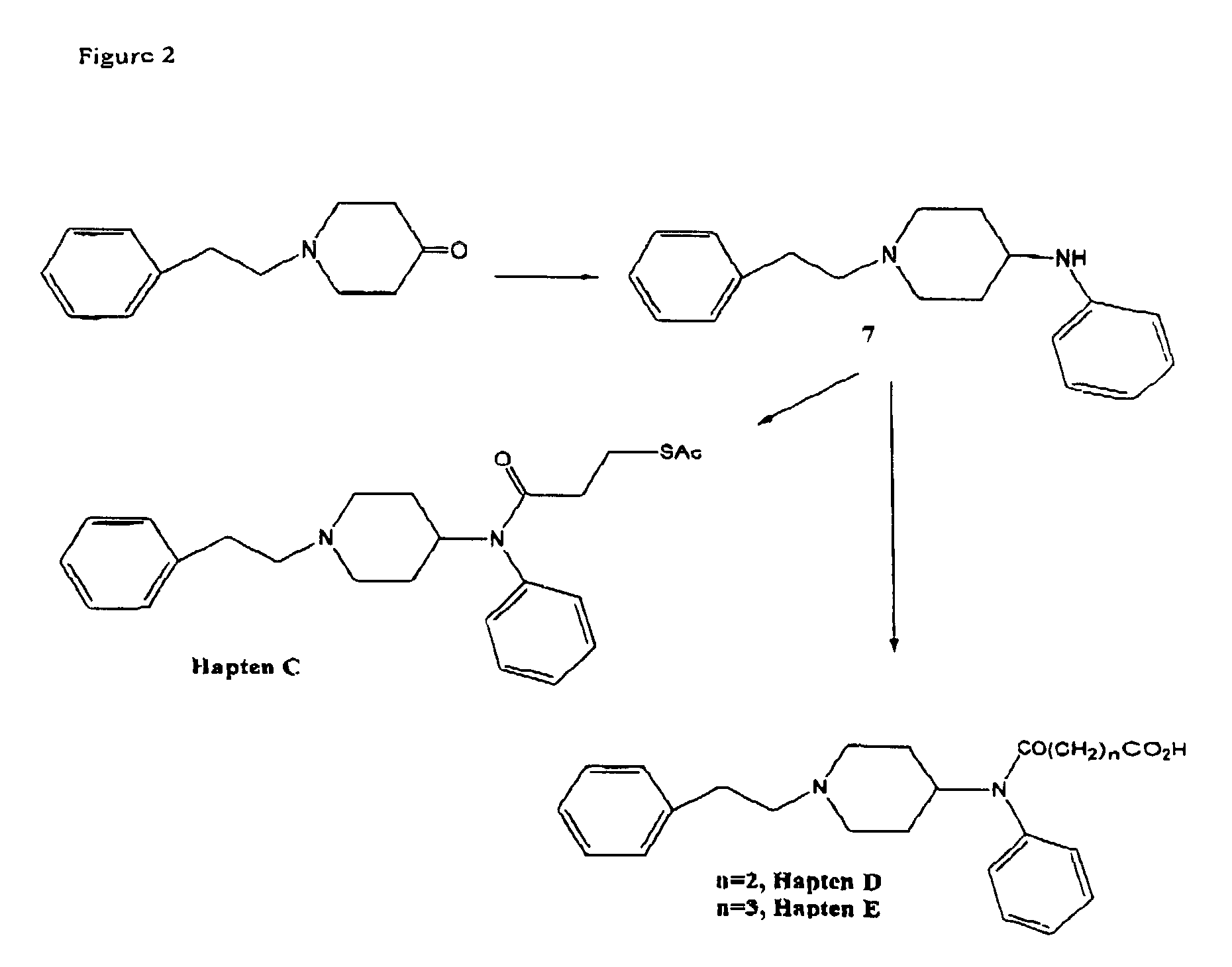 Method and kit for detecting, or determining the quantity of, metabolites of fentanyl and metabolites of fentanyl analogs