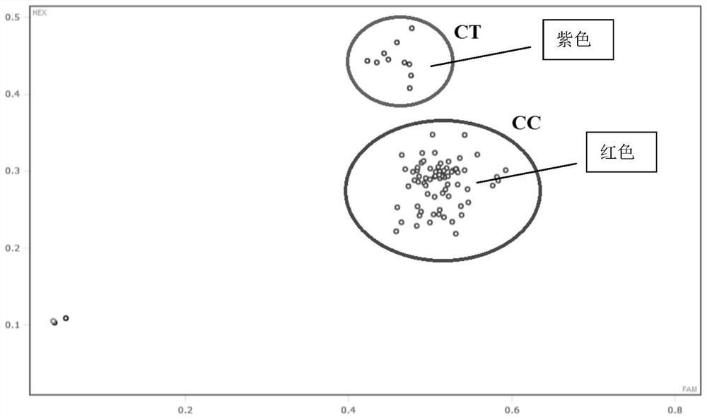 KASP molecular marker for predicting soluble solids of waxberry fruits and application of KASP molecular marker