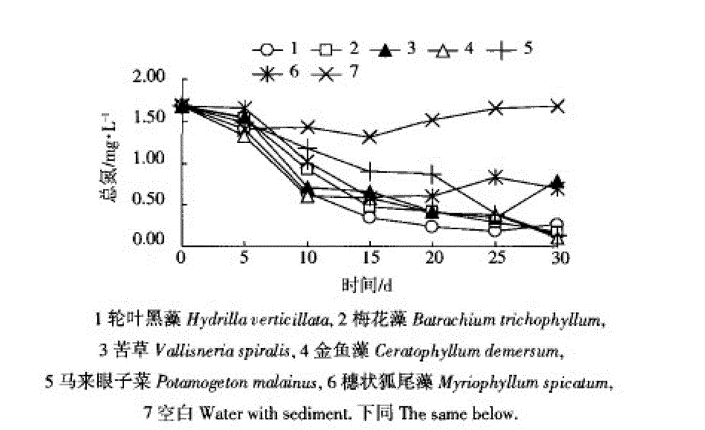 Water ecological purification system and method