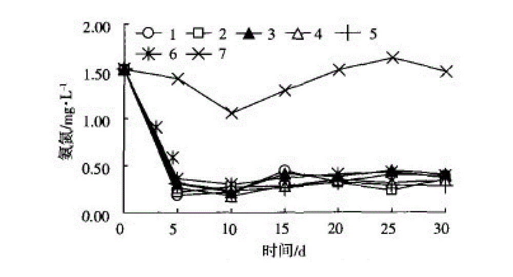 Water ecological purification system and method