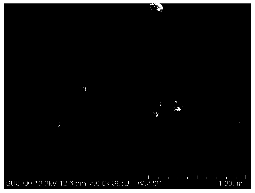 Filter membrane preparation method and filter membrane