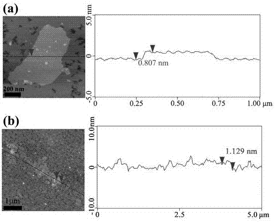 Method for preparing graphene with leaf extraction solution serving as reductant