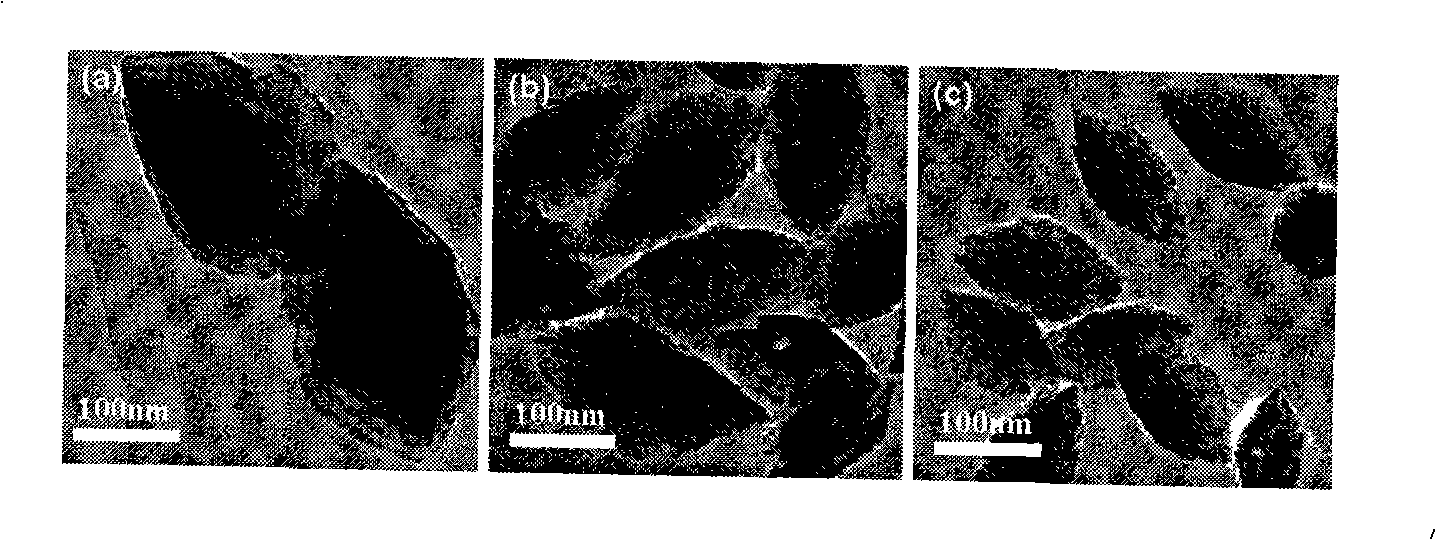 Method for synthesizing alpha-Fe2O3 nano-particle with controllable shape size