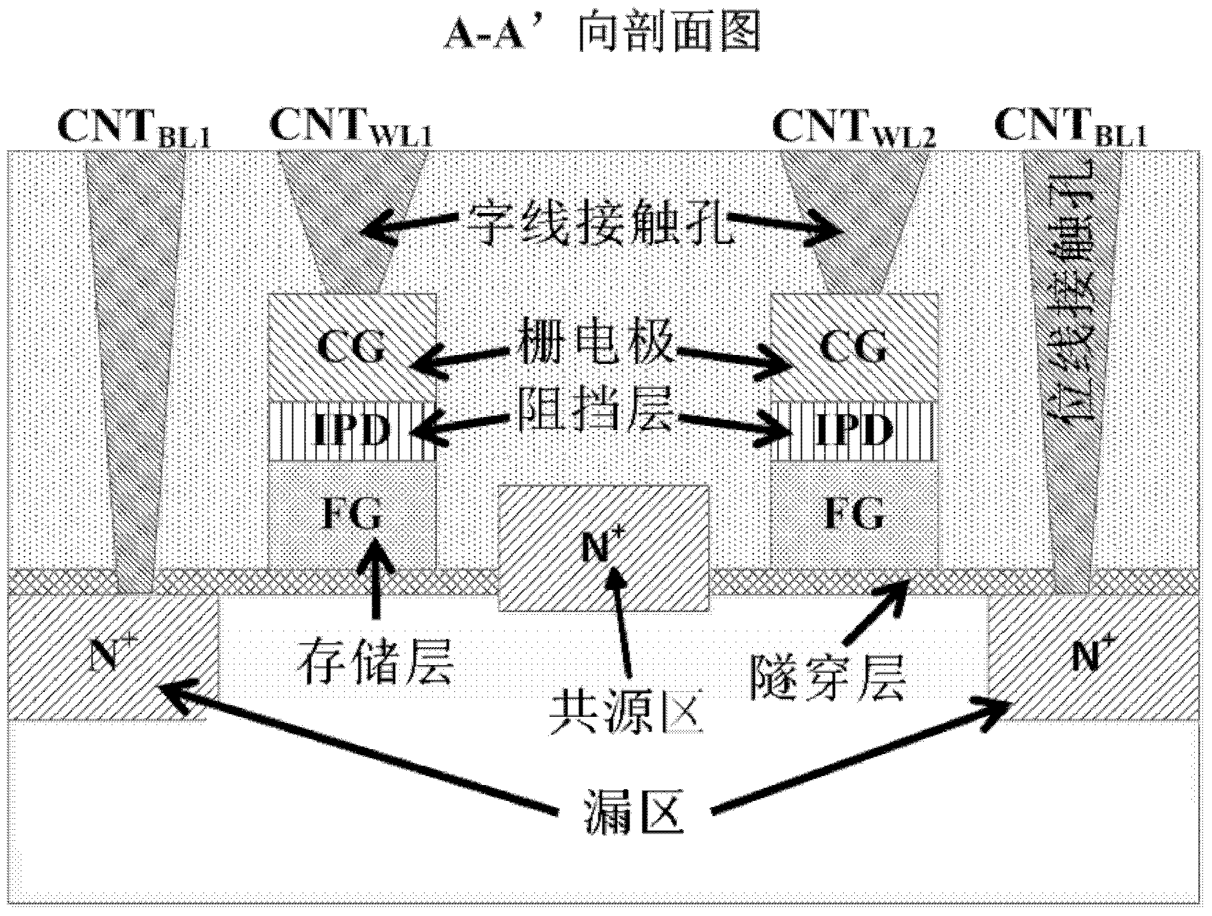 NOR-type flash memory unit for lifting common source region and preparation method thereof