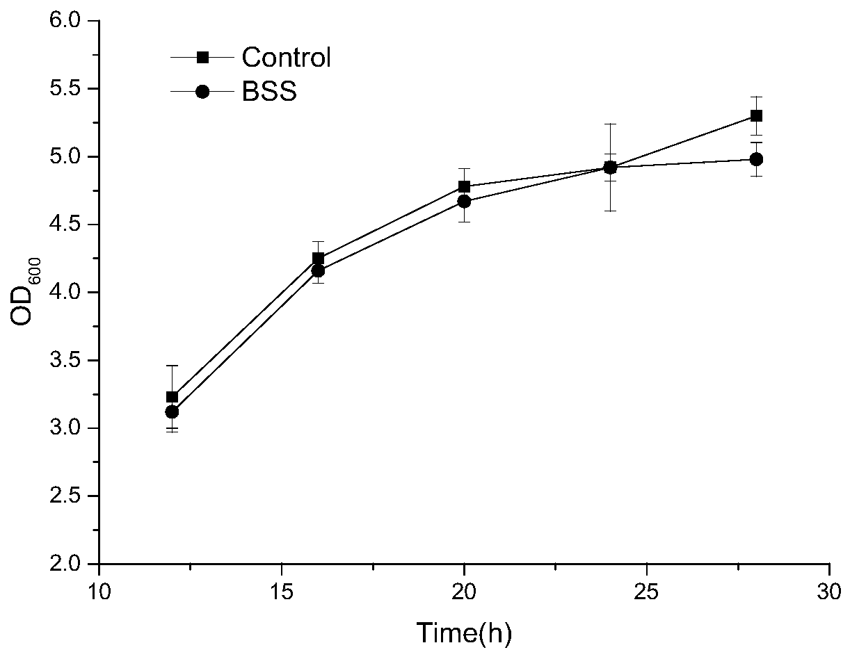 Biosensor for detecting S-adenosylmethionine and preparation method of biosensor