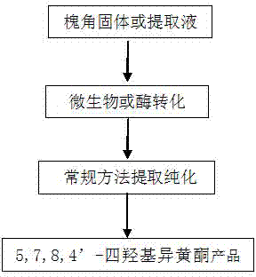 Aspergillus aculeatus bacterial strain and method for preparing 5,7,8,4'-tetrahydroxyisoflavone by using same