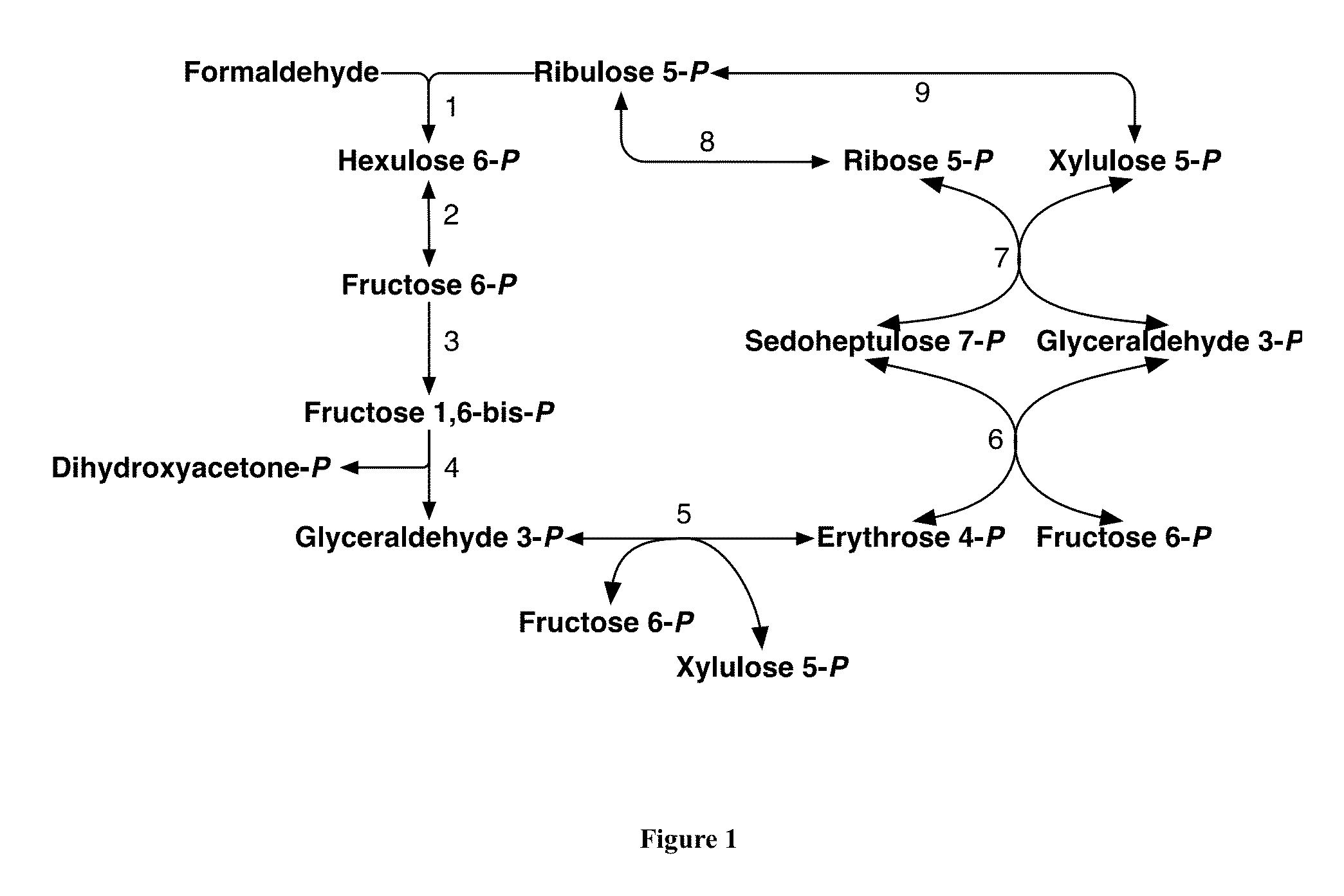 Methods and Systems for Methylotrophic Production of Organic Compounds