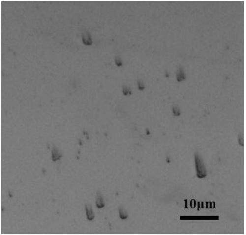 A Statistical Method for Identifying {110} Crystal Planes and Surface Shares of Tungsten Single Crystal Coatings