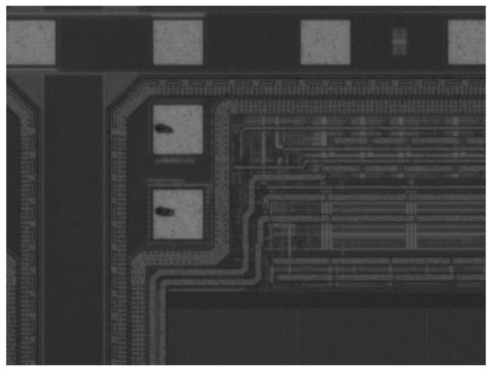 Multi-station probe card and wafer testing method