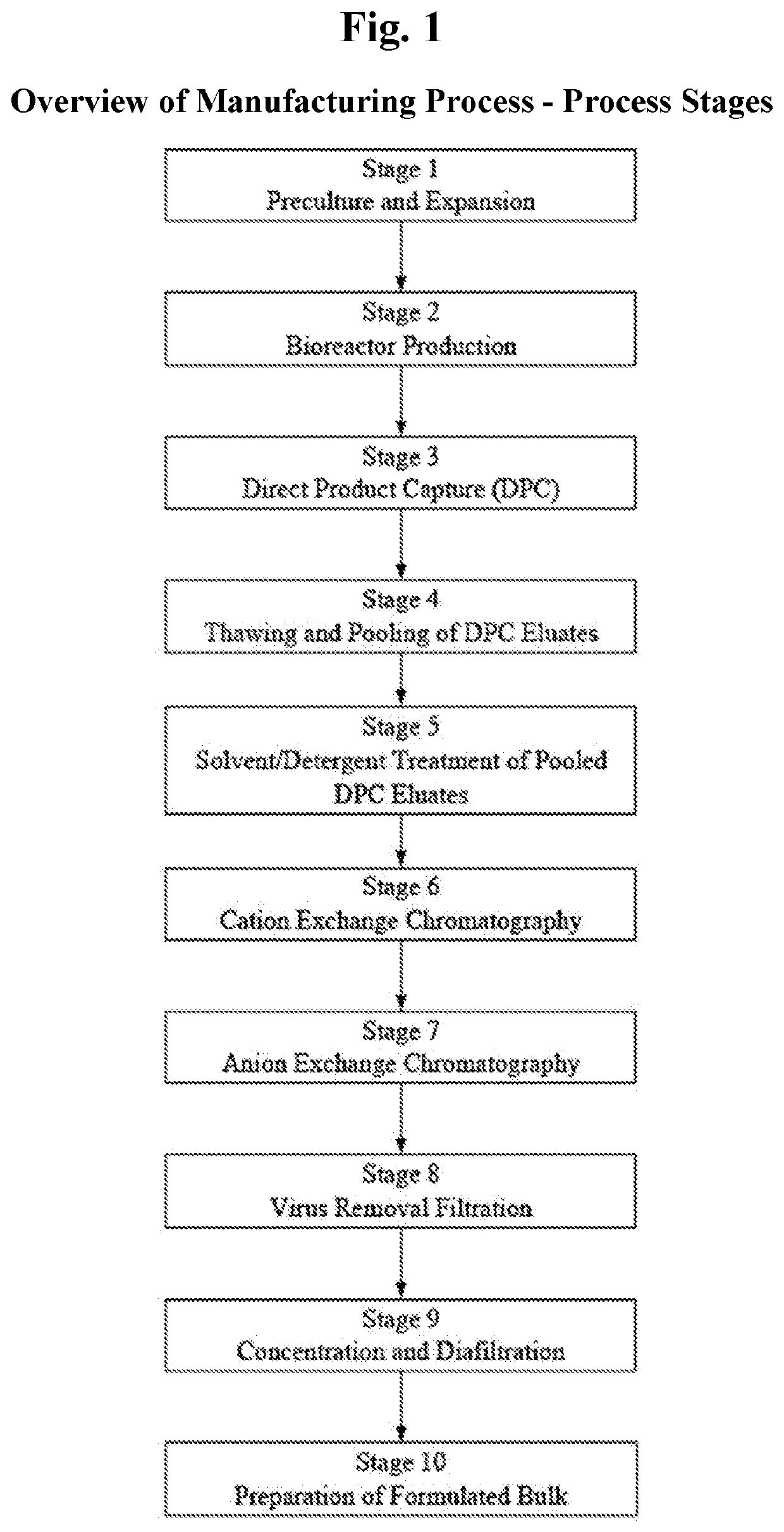 Manufacturing Methods for Producing Anti-IL12/IL23 Antibody Compositions