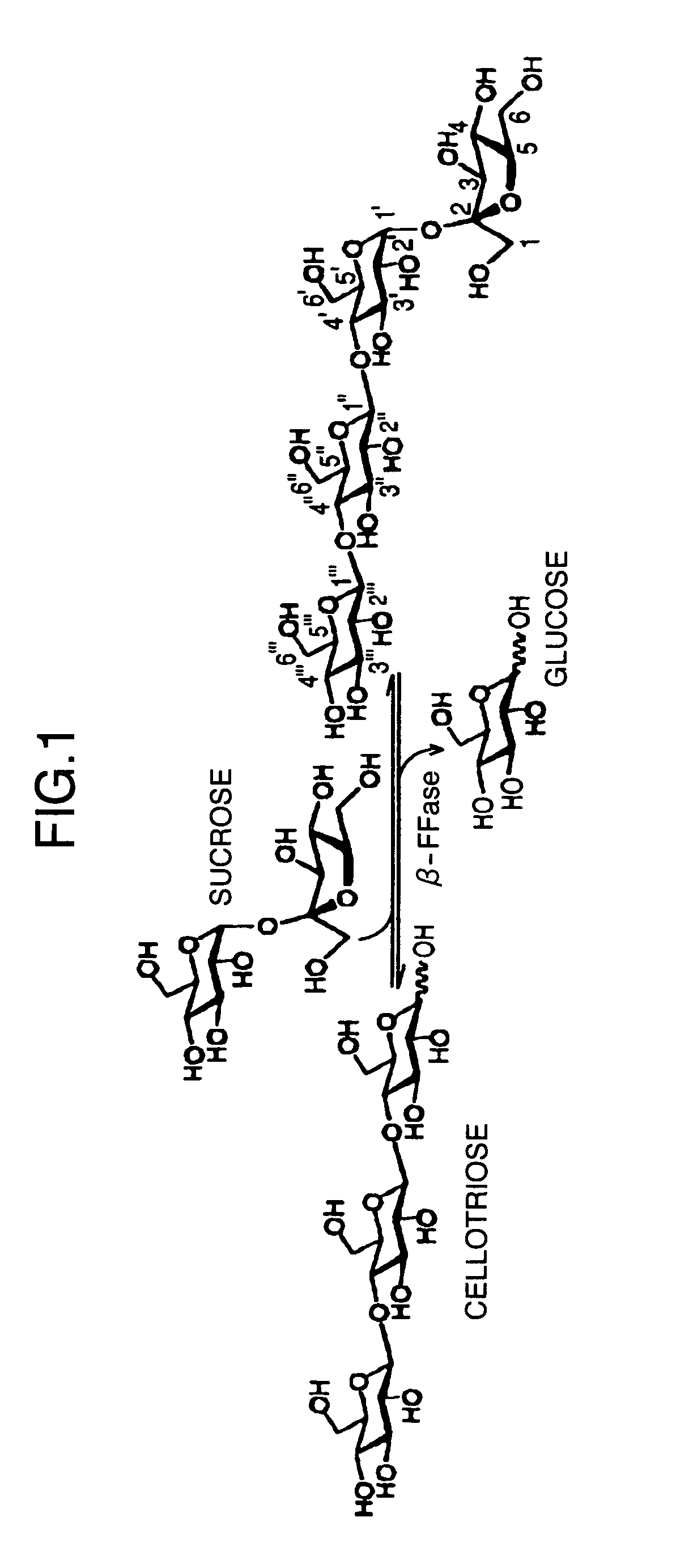 Nonreducing beta-glucan derivative