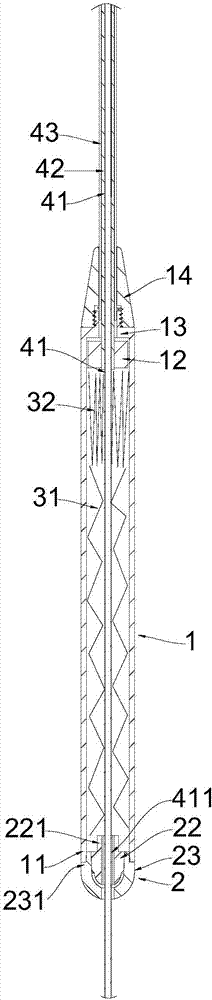 Gastric diversion apparatus and implantable catheter thereof