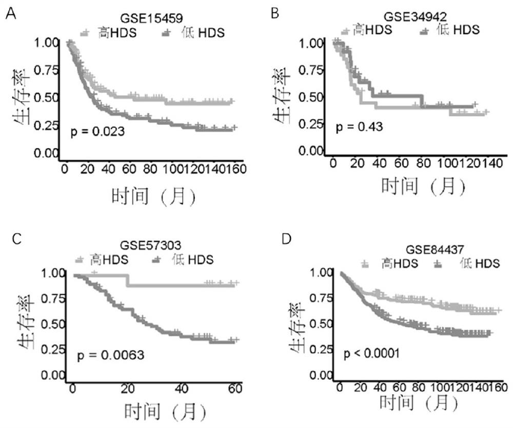 Application of HDS in predicting prognosis of gastric cancer patient, guiding postoperative adjuvant chemotherapy and predicting curative effect of immunotherapy