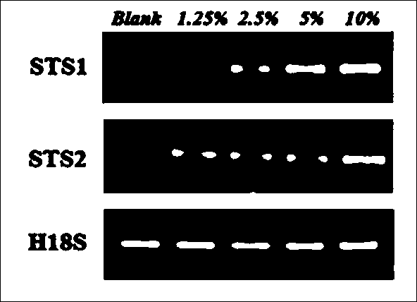 Method for inducing accumulation of stilbenes in grapes