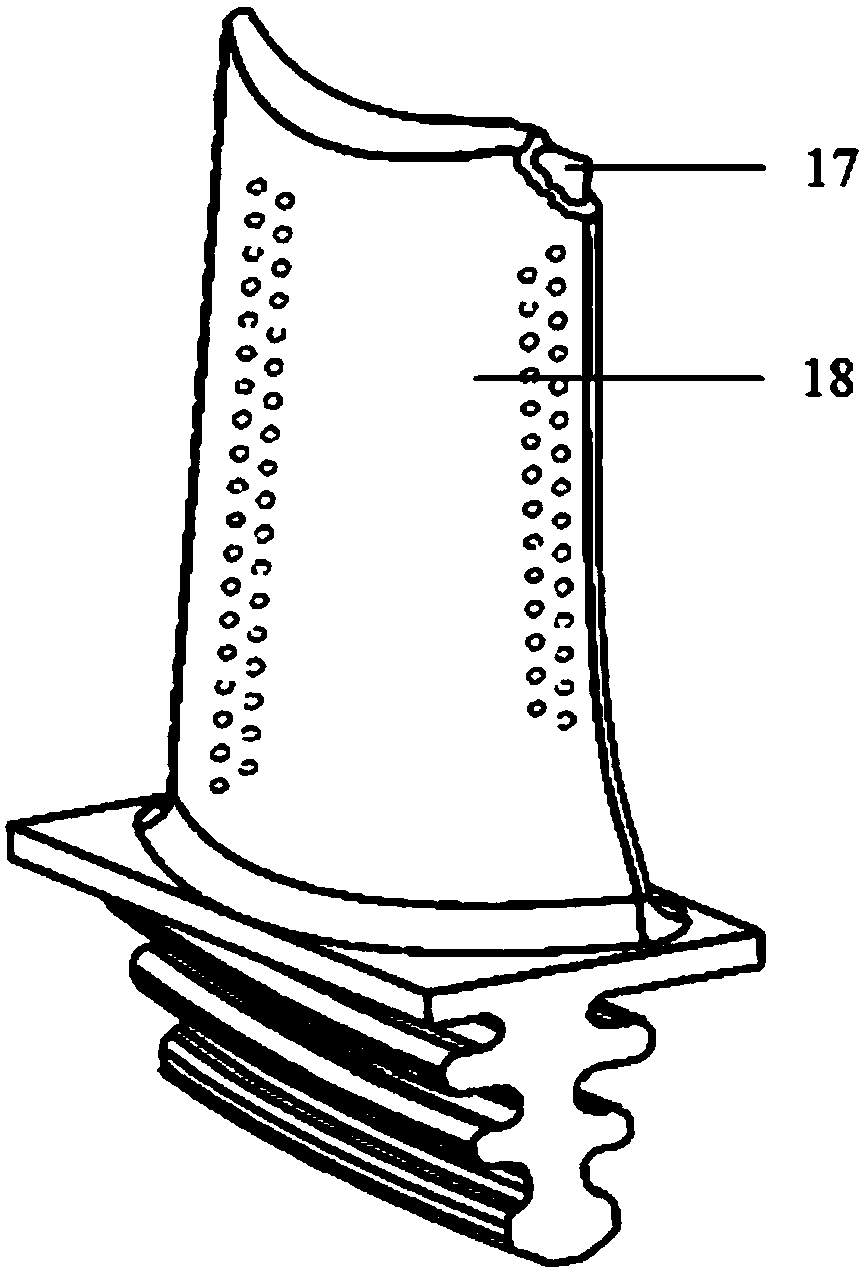 A device for removing ceramic cores of hollow turbine blades based on the principle of convective heat transfer