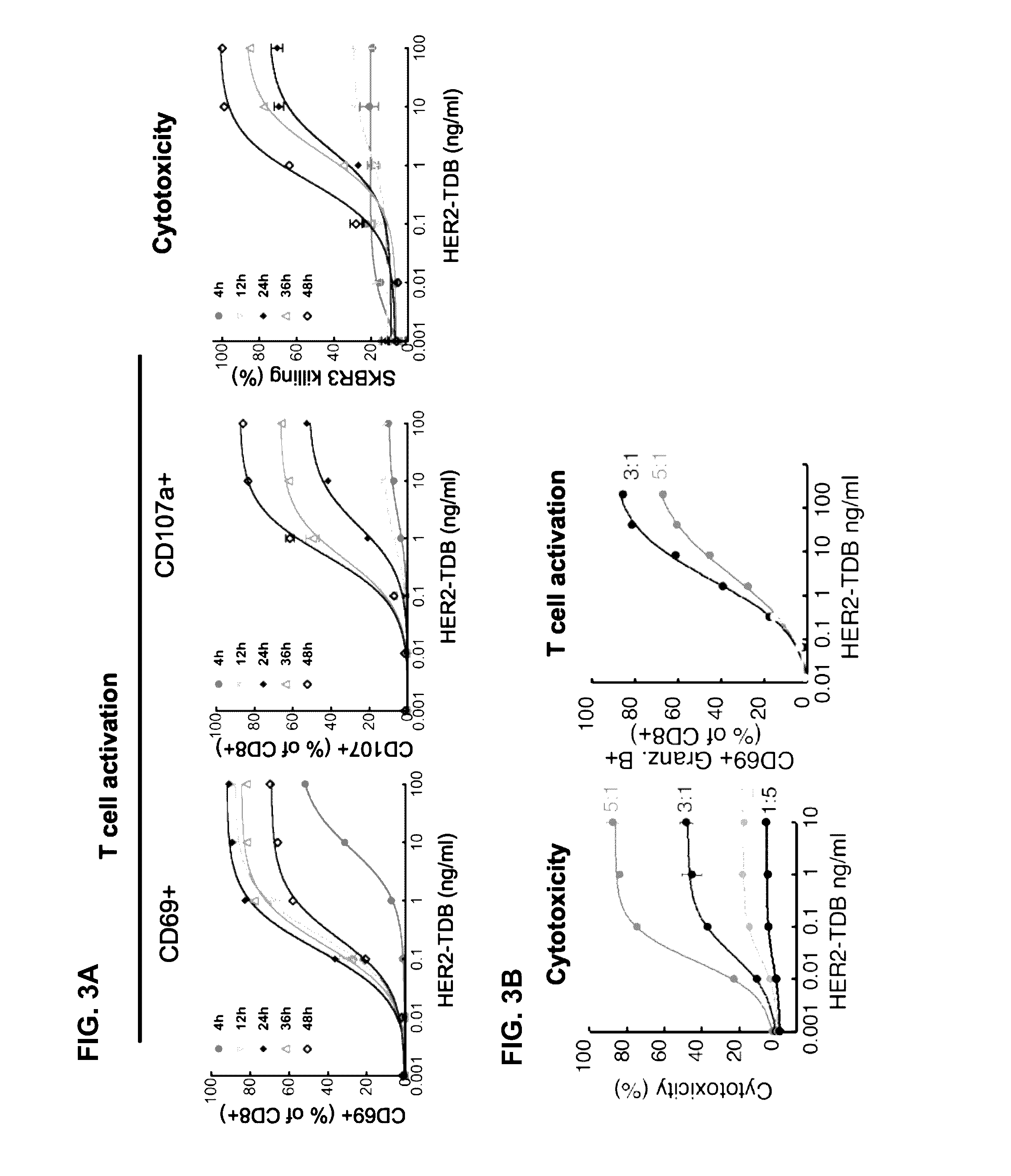 Methods of treating her2-positive cancers using pd-1 axis binding antagonists and Anti-her2 antibodies