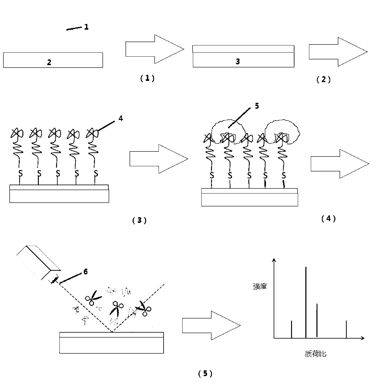 Detection method for protein with nucleic acid aptamer target gathering and laser enzymolysis
