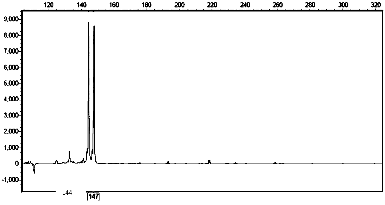 Method for identifying new variety Qingbi of fraxinus velutina by using capillary electrophoresis fluorescence SSR (Simple Sequence Repeat) fingerprint spectrum
