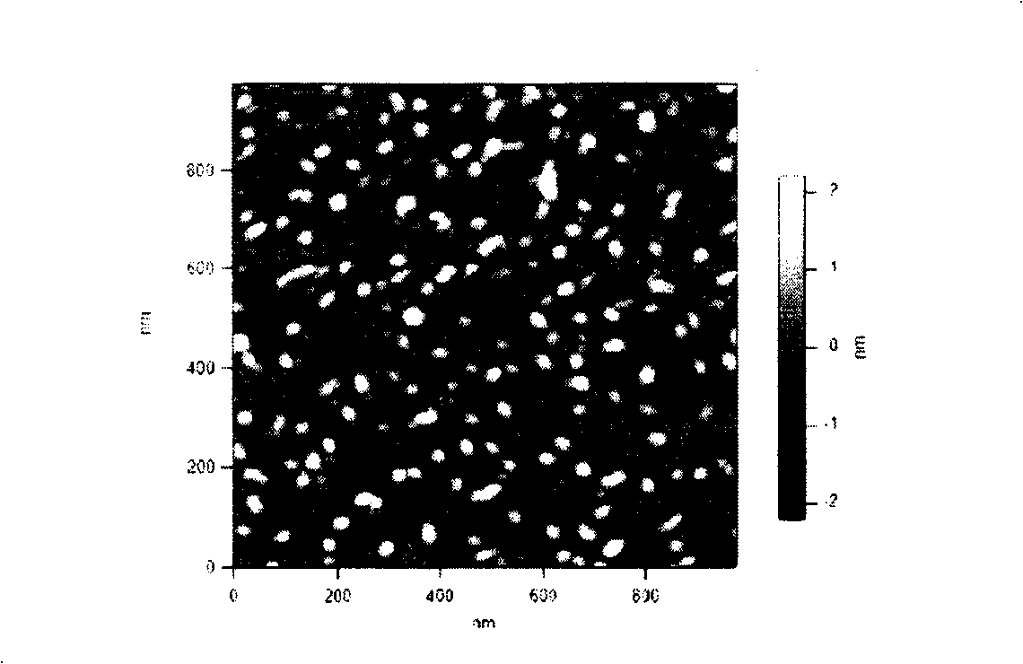 Recomposed tPA gene-chitosan nanoparticle complex and preparation method thereof