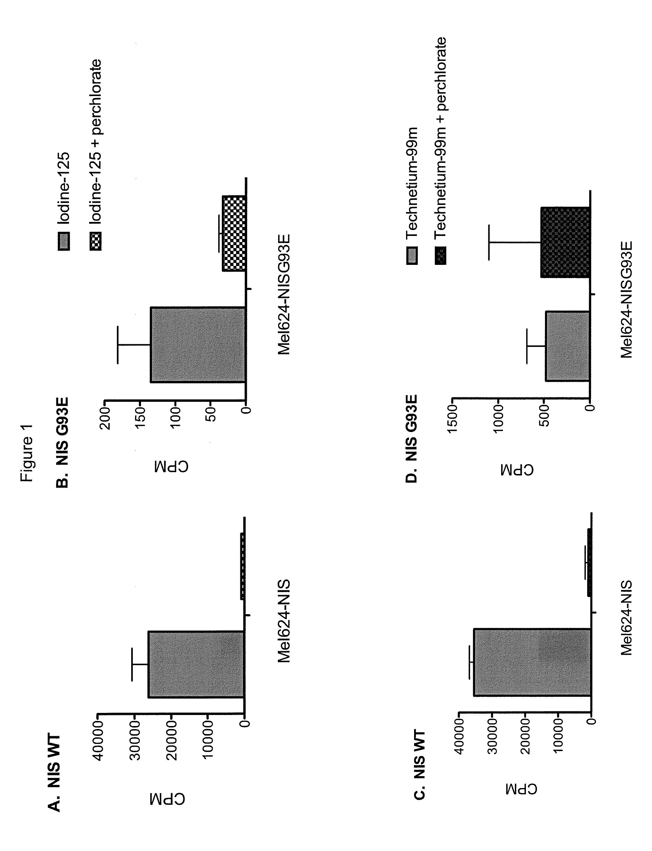 Radiotracer imaging using sodium iodide symporter polypeptides