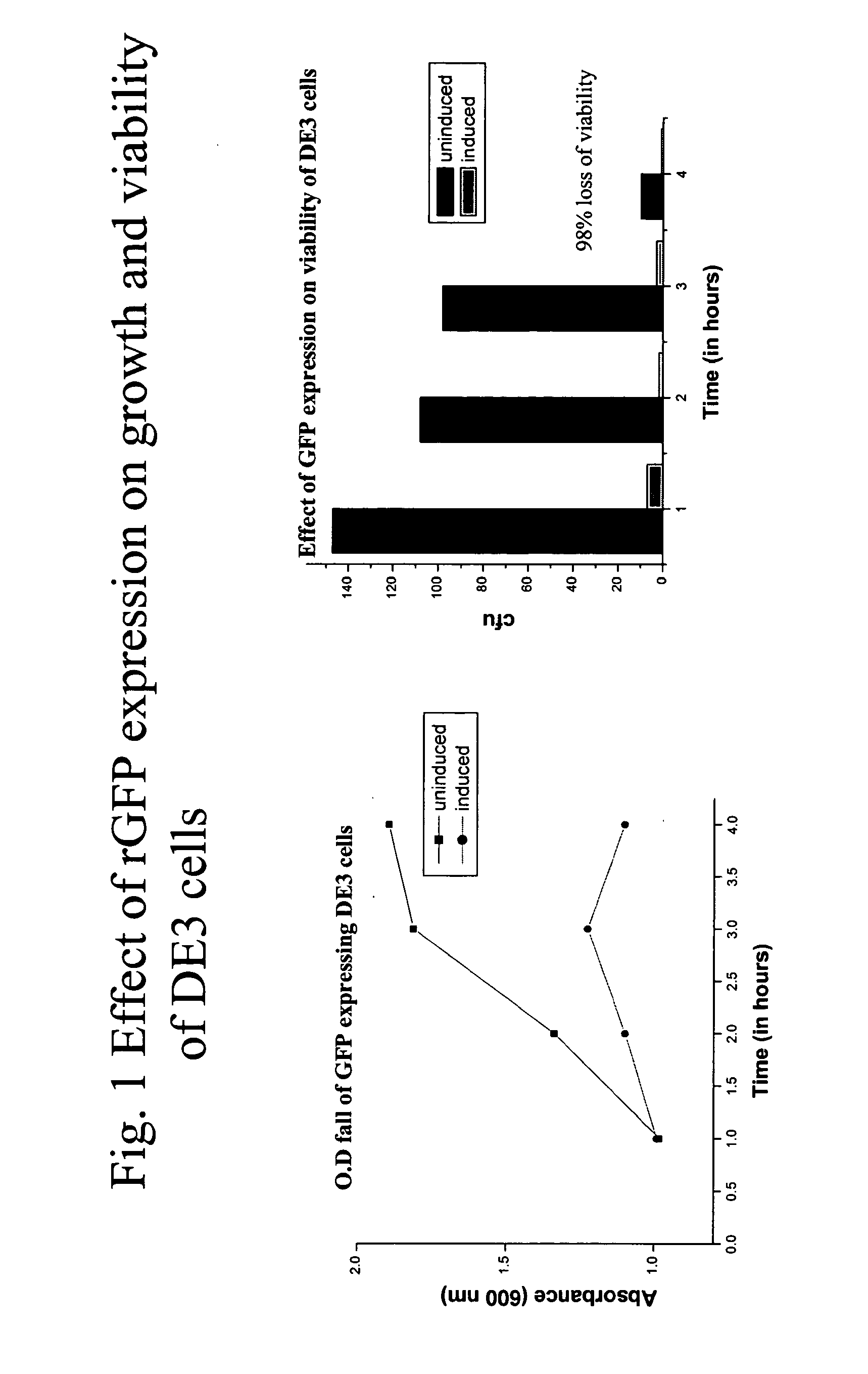 Incapacitated whole-cell immunogenic bacterial compositions produced by recombinant expression