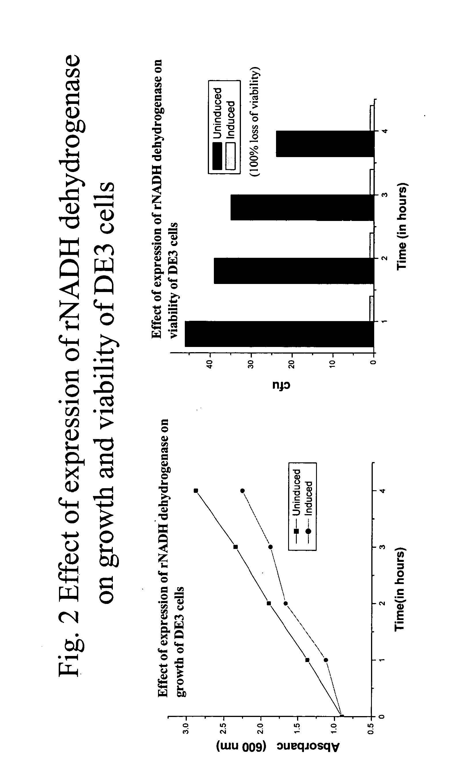 Incapacitated whole-cell immunogenic bacterial compositions produced by recombinant expression