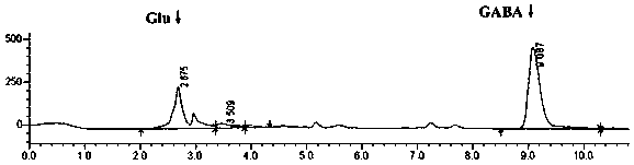 Method for preparing gamma-aminobutyric acid by taking lepidotrigla abyssalis as raw material