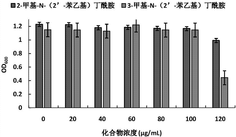 Application of amide compounds to preparation of quorum sensing activity inhibitors