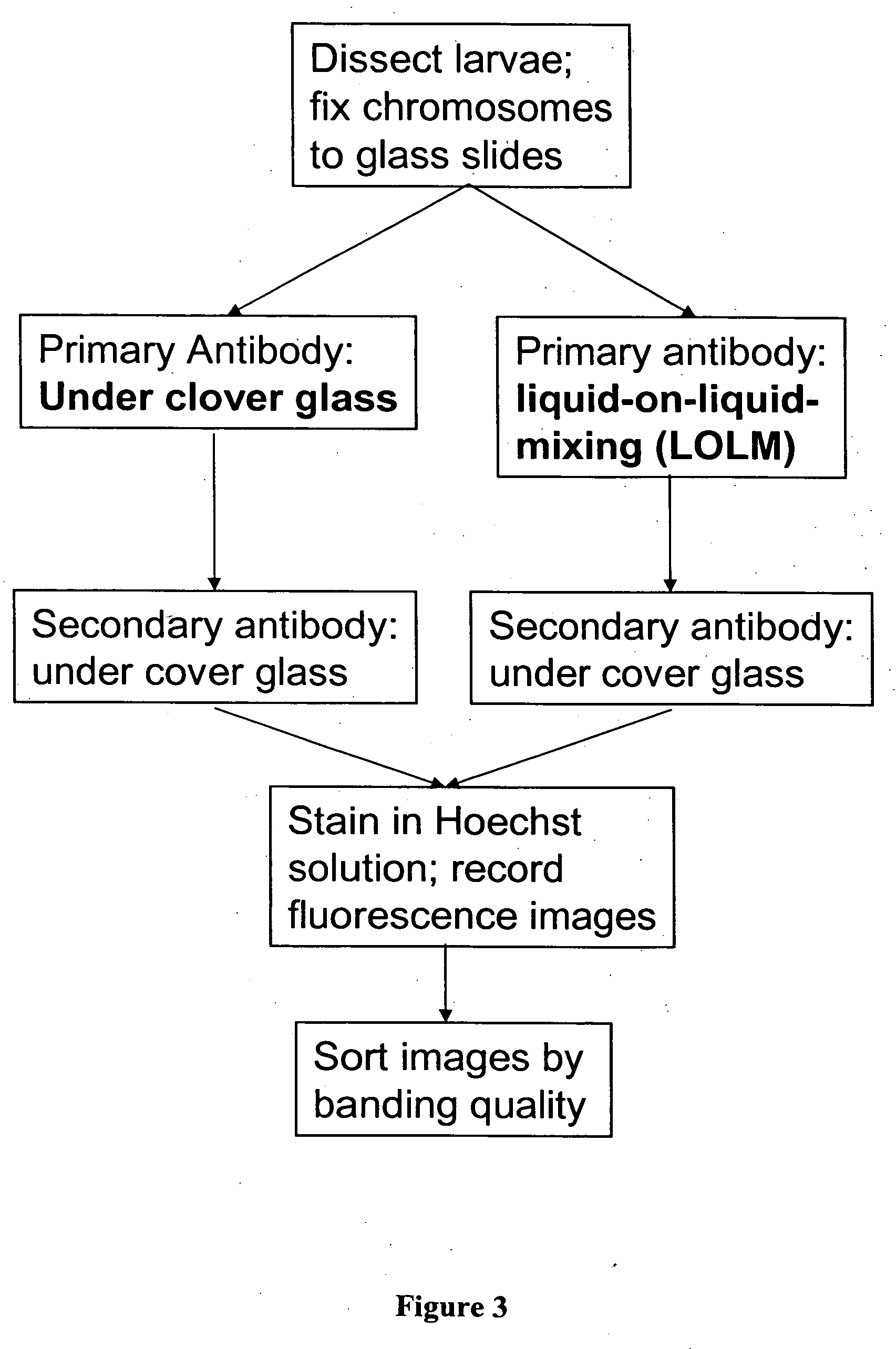 Liquid mixing reactor for biochemical assays