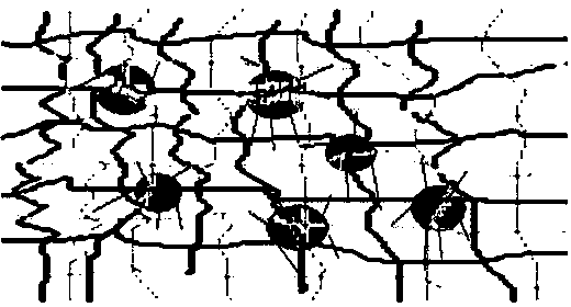 Preparation method of anticorrosive paint of polyaniline modified mesoporous molecular sieve